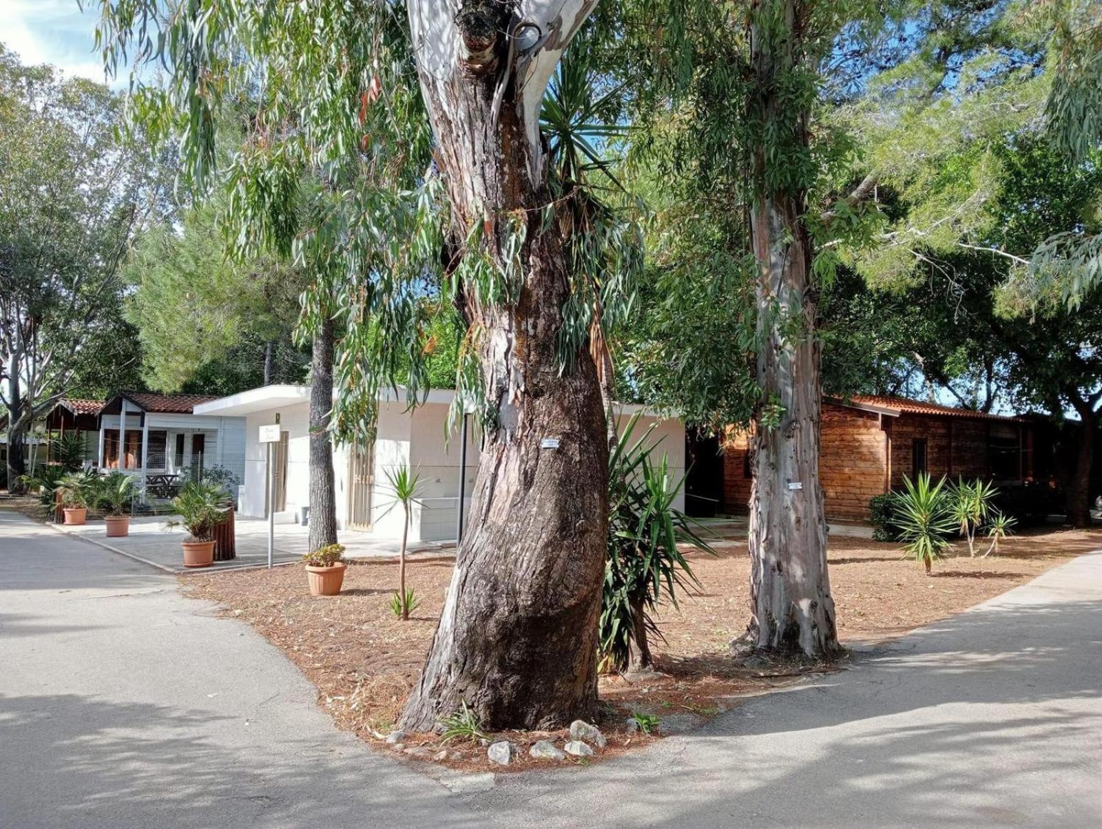 Viola Club Village & Camping Foce Varano Exterior photo